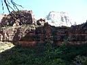 Zion NP 06
